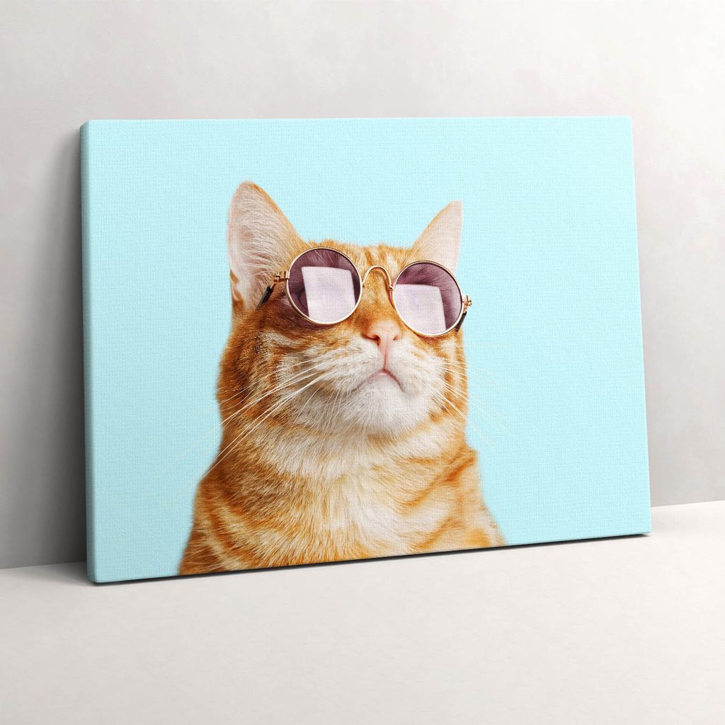 Lustige Katze mit Brille – Leinwandbild Wandbild – 80x60 cm – Leinwandbilder – Wandbilder – Schlafzimmer – Flur