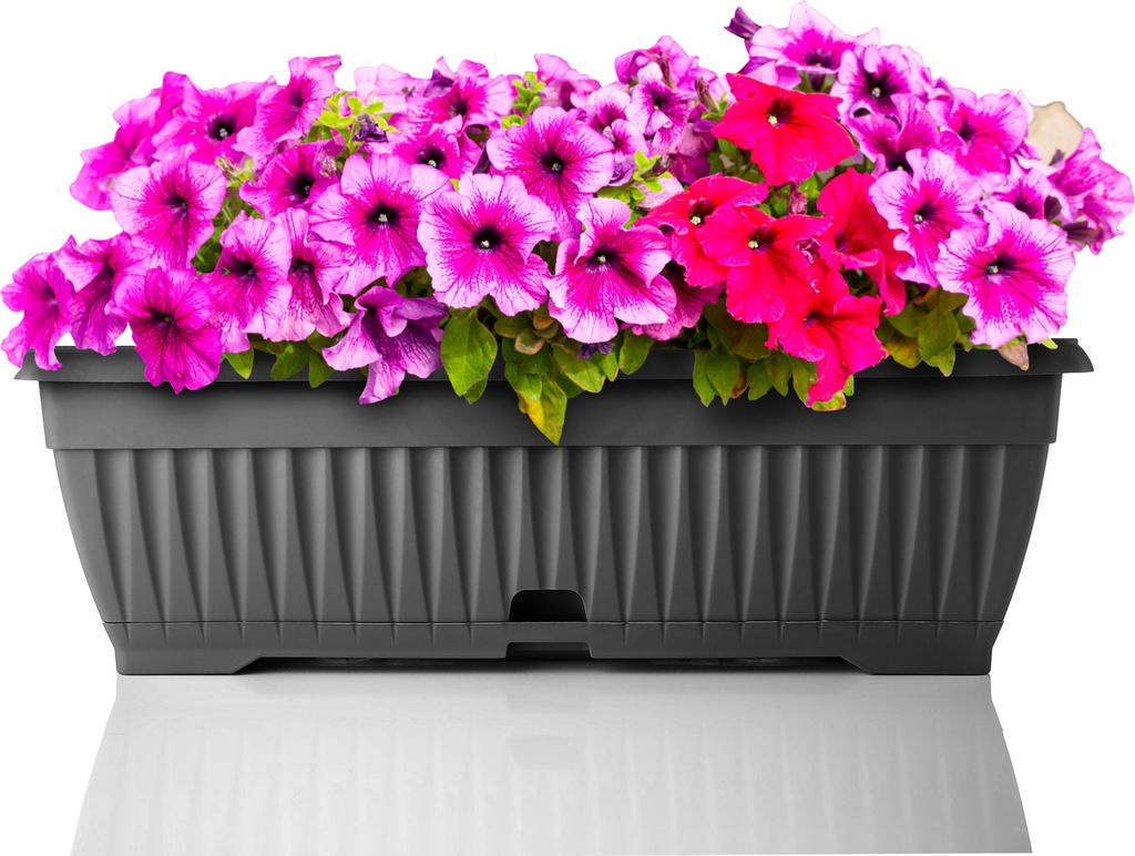 BigDean Blumenkasten mit abnehmbarem Untersetzer - Anthrazit 50 cm lang aus bruchsicherem Kunststoff - Balkonkasten Pflanzkasten mit Wasserspeicher