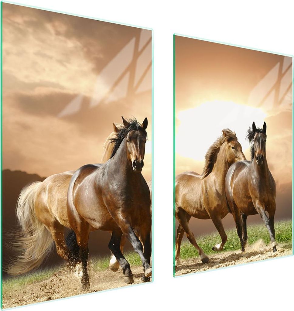 Glasschutzplatte Für Küche 65X52 Pferde