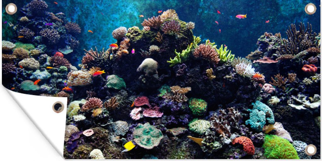 MuchoWow 160x80 cm Outdoor-Poster Gartendeko Sichtschutz Garten Poster für den Garten Aquarium mit tropischen Fischen und Korallen