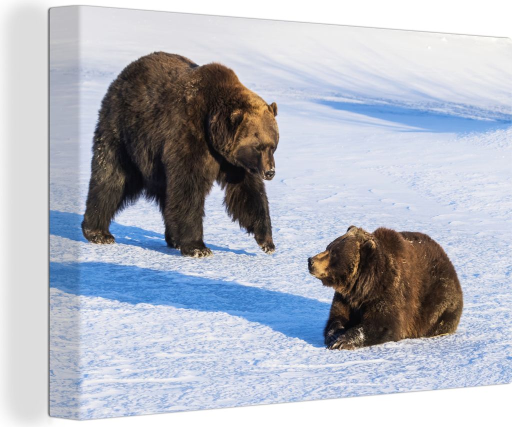OneMillionCanvasses - Leinwandbilder - 140x90 cm, Braunbären im Schnee, Wandbilder Kunstdruck Wanddekoration - Foto auf Leinwand - Gemälde auf ...
