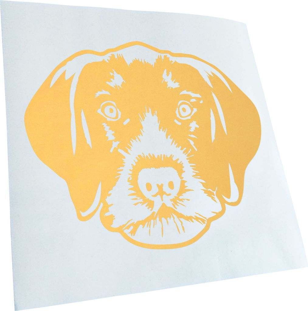 Kiwistar - Autoaufkleber - German wirehaired pointer Hund - Creme - 40x33cm - Aufkleber für Auto, Laptop, Fahrrad, LKW, Motorrad mehrfarbig JDM De...