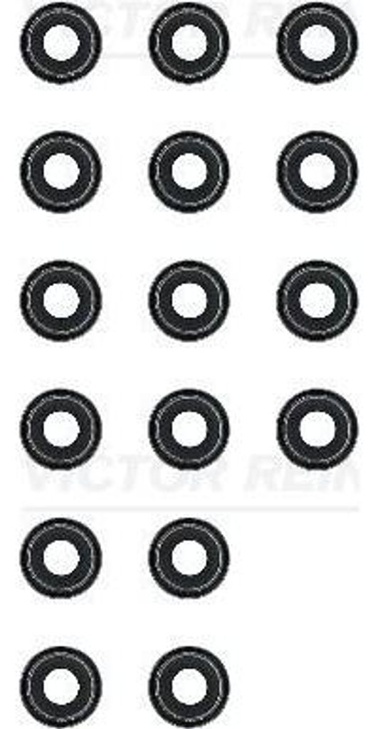 VICTOR REINZ 12-52772-03 Dichtungssatz, Ventilschaft OE 13207D4201(16x) kompatibel mit Almera, Cabstar, Murano, Navara, NP300, Pathfinder, Pick-up,...