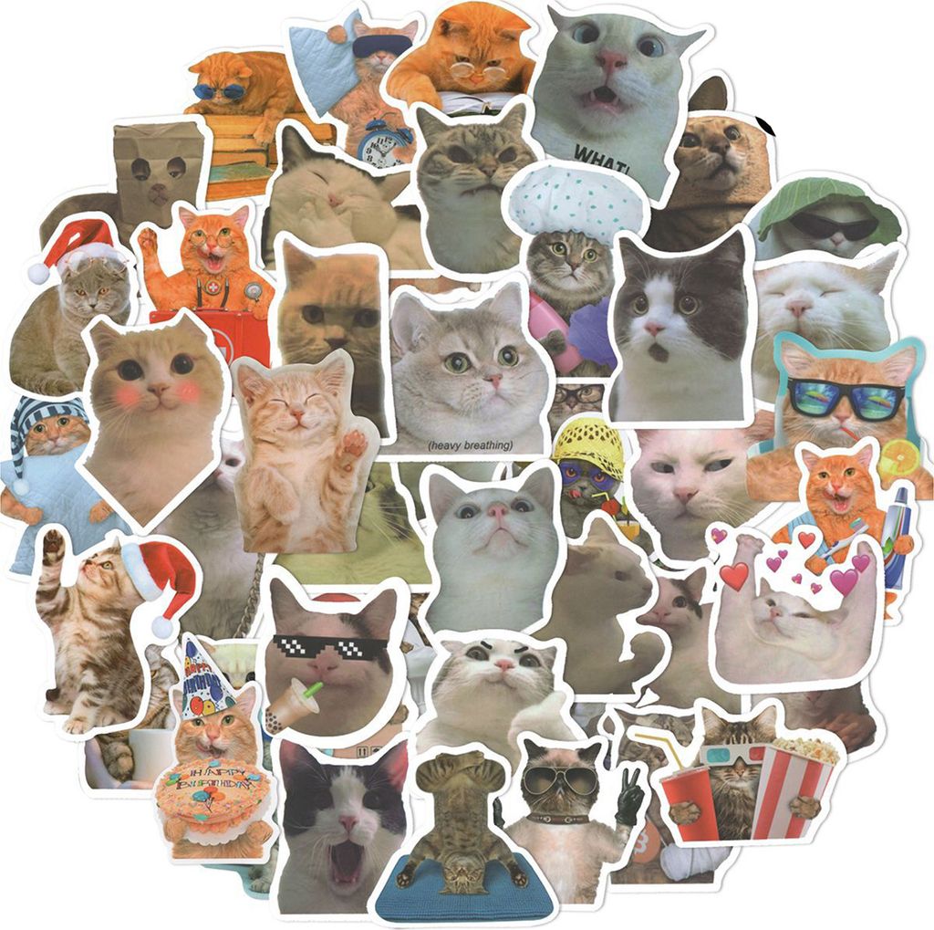 50pcs Graffiti Aufkleber Selbstklebend wasserdichtes PVC niedliche Katzenmuster Schreibweise Koffer Laptop für Schüler