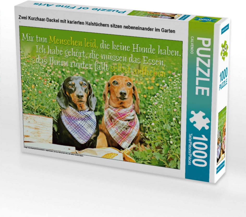 CALVENDO Puzzle Zwei Kurzhaar-Dackel mit karierten Halstüchern sitzen nebeneinander im Garten | 1000 Teile Lege-Größe 64x48cm Foto-Puzzle für g...