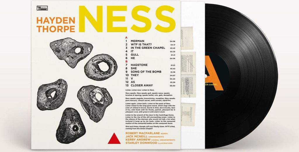 Hayden Thorpe: Ness (140g) (Black Bio Vinyl) - - (LP / N)