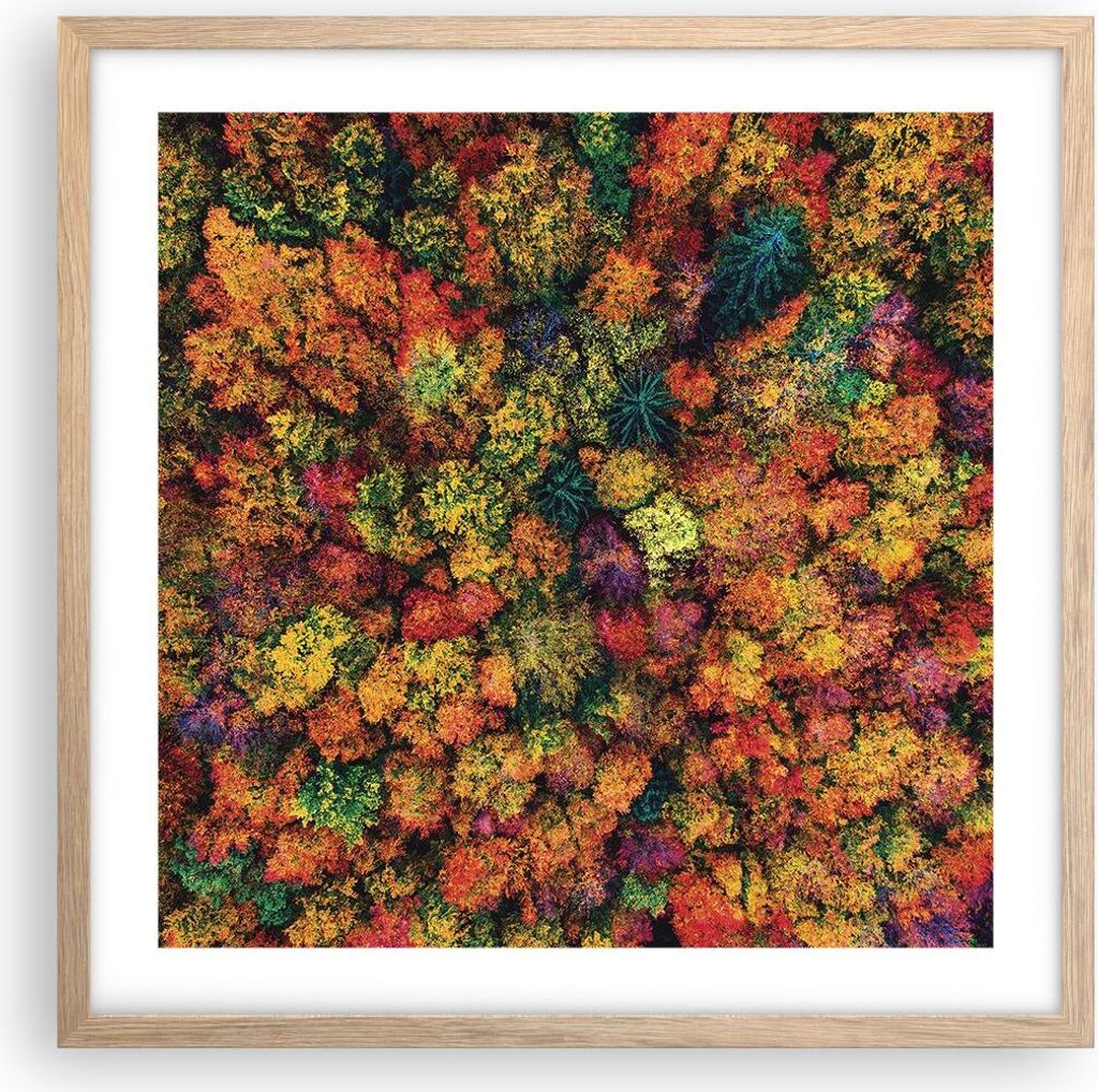 Gerahmtes Poster - Rahmen in heller Eiche - Herbst Perspektive Vogel - 50x50 cm - Wand Bild - Wanddeko - Wandbilder - Kunstposter - Wandposter - Bi...