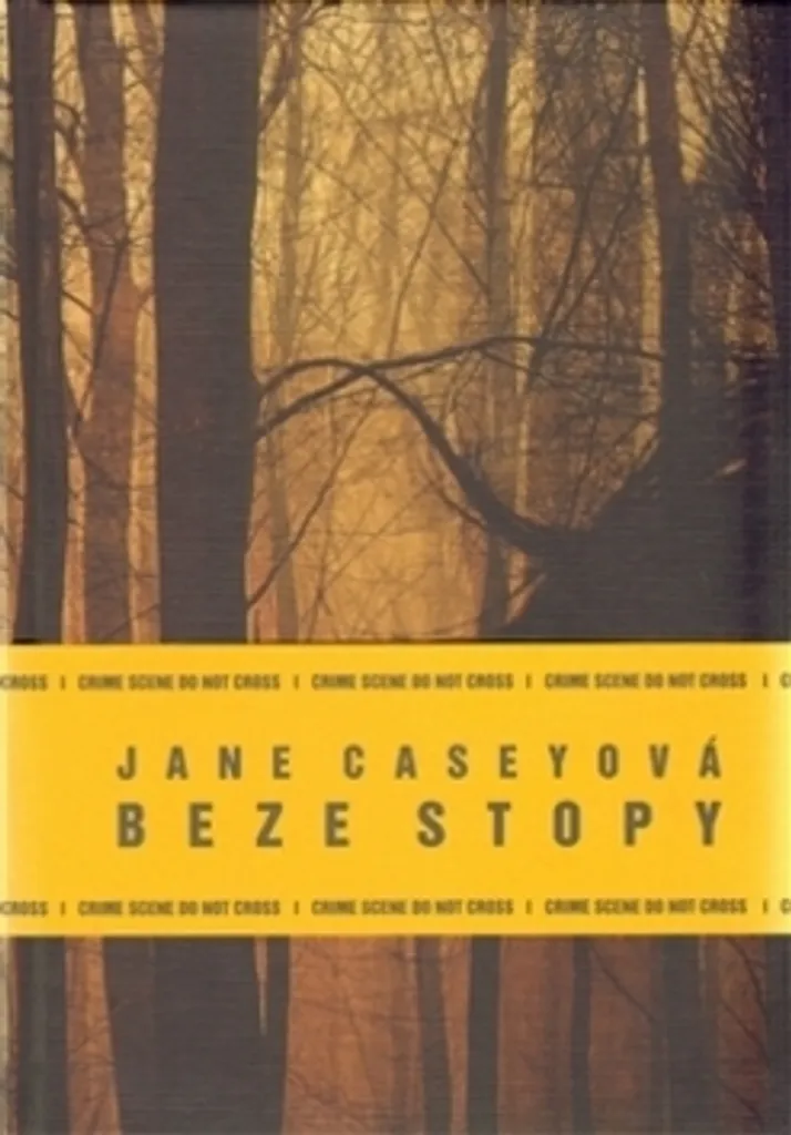 Roman policier Beze stopy par Jane Casey : Suspense et crime captivant