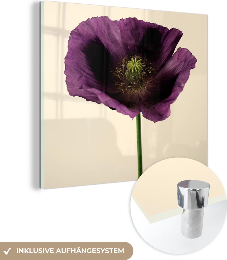 MuchoWow Glasbilder - Bilder auf Wandbild - Foto auf Glas Nahaufnahme eines violetten Mohns 90x90 cm Wanddekoration aus Glas - Acrylglasbild - Acry...