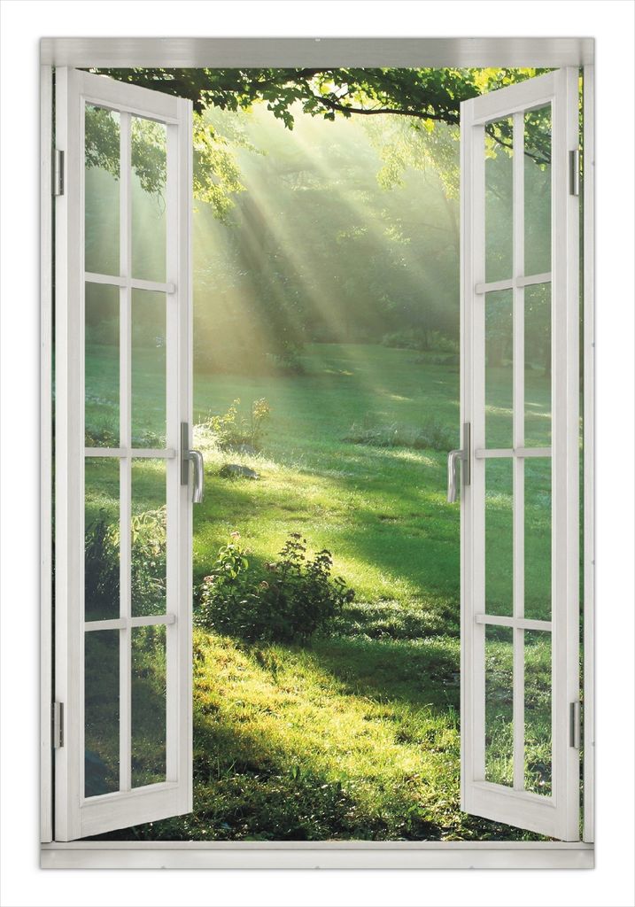 Wallario Wandbild mit Fenster-Illusion: Sonnenstrahlen im Wald, Größe: 61 x 91,5 cm, Poster mit rahmenlosen Bildhalter