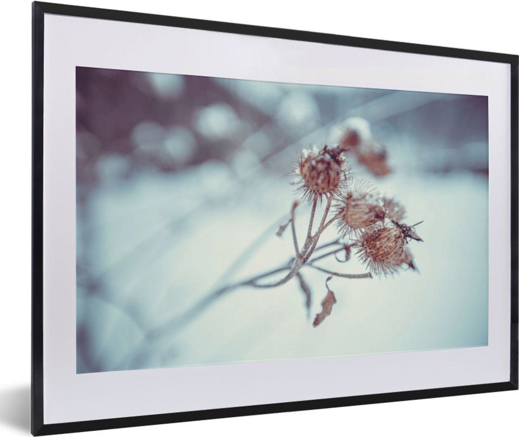 MuchoWow Gerahmtes Poster Pflanzen - Winter - Schnee - Natur 60x40 cm - Poster mit Schwarzem Bilderrahmen Wandposter Rahmen Foto Bilder - Schlafz...