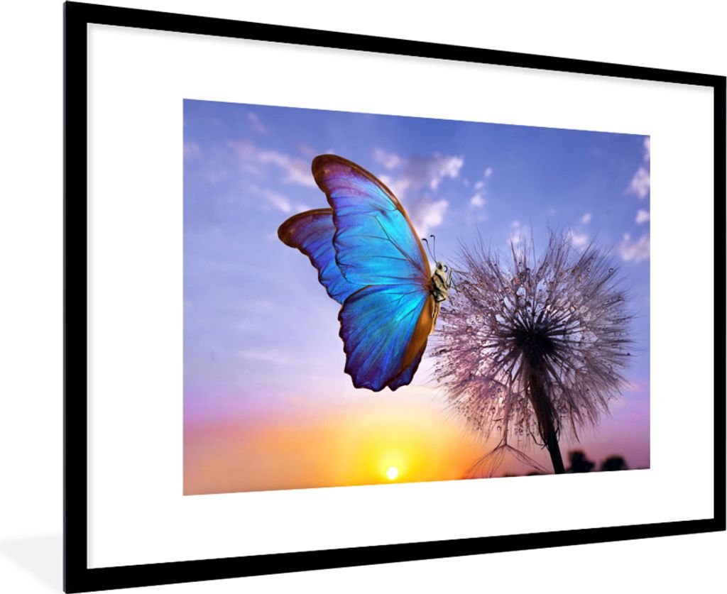 MuchoWow Gerahmtes Poster Schmetterling - Sonnenuntergang - Löwenzahn - Blau 90x60 cm - Poster mit Schwarzem Bilderrahmen Wandposter Rahmen Foto...