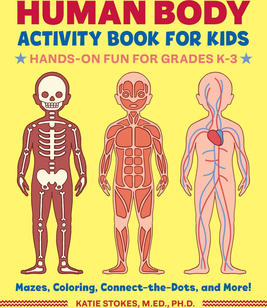 Human Body Activity Book for Kids