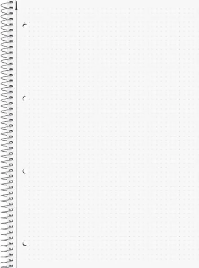 Bloc-notes A4 à spirale Premium Student BRUNNEN lot de 5 cahiers bleus - 2