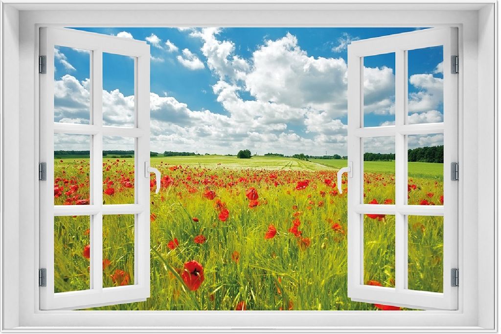 Wallario Wandbild mit Fenster-Illusion: Grüne Wiese mit Mohnblumen, Größe: 61 x 91,5 cm, Poster mit weißem Aluminiumrahmen