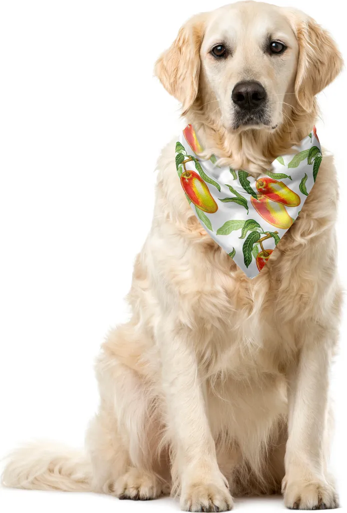 ABAKUHAUS Bandana Tropicale Cani Mango 40x40cm | Accessorio Pet Estivo