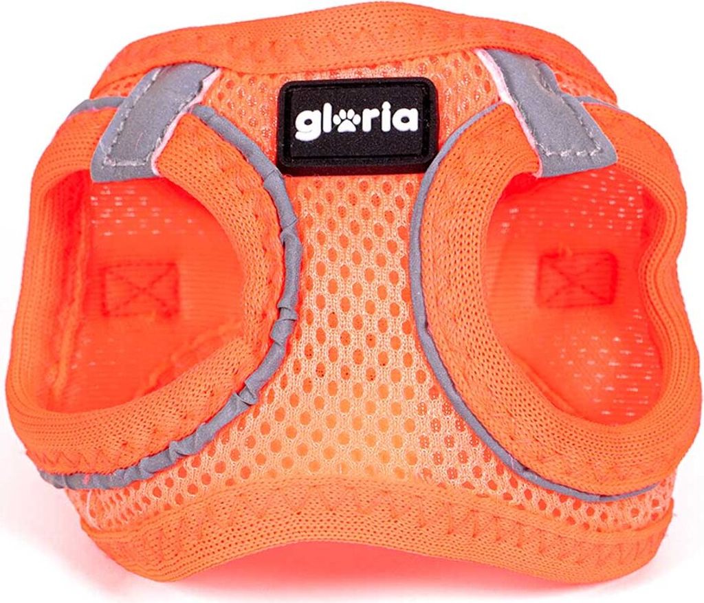 Hundegeschirr Gloria Trek Star 27-28 cm 31-34,6 cm Orange XS
