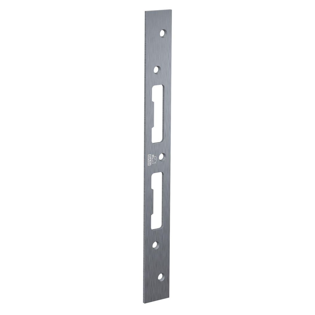BASI - Flachschliessblech - FLB 955 - verzinkt - käntig - 300x30x3 mm - Rechts/Links verwendbar - 9553-0110
