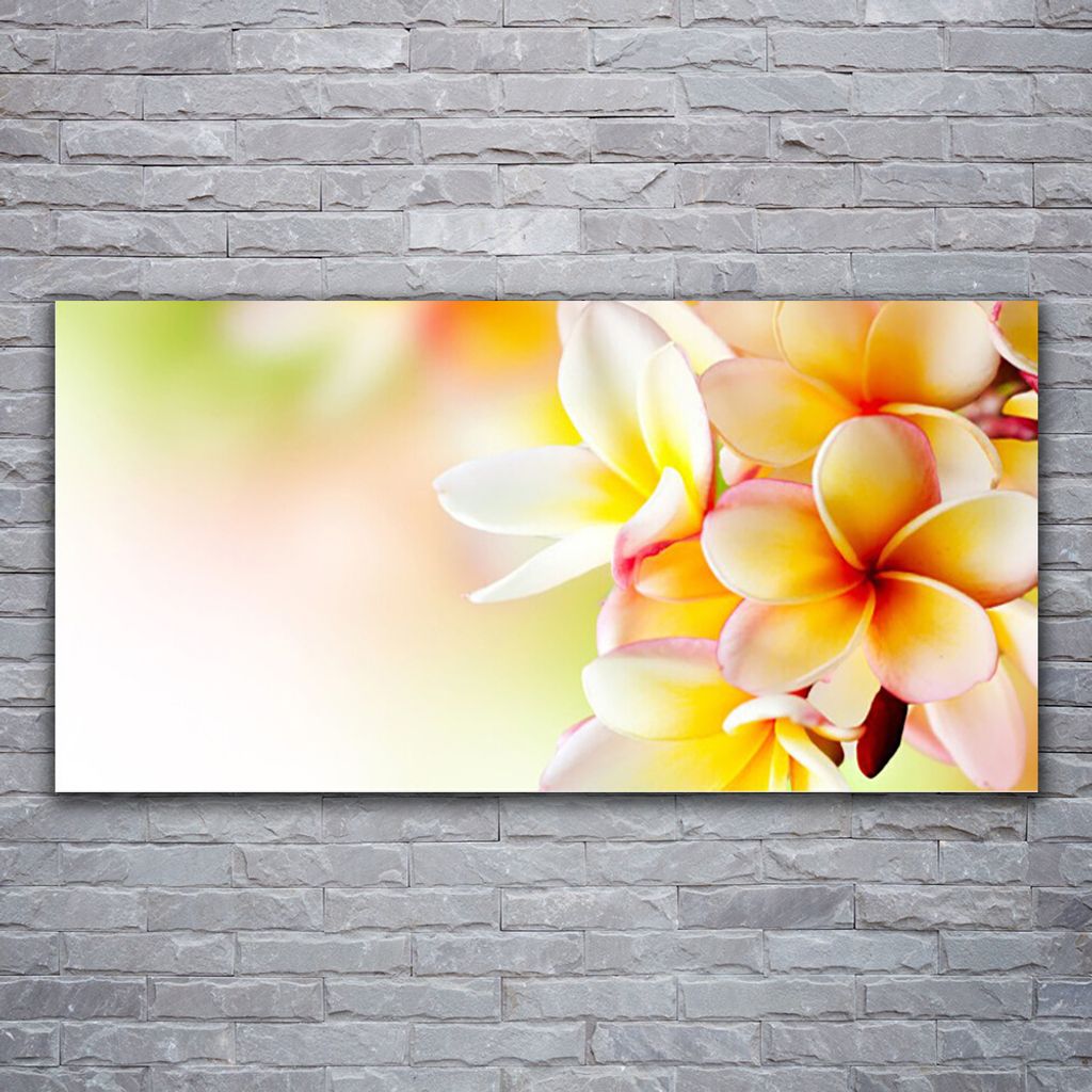 Glasbilder 120x60 Wandbild Druck auf Glas Blumen Pflanzen