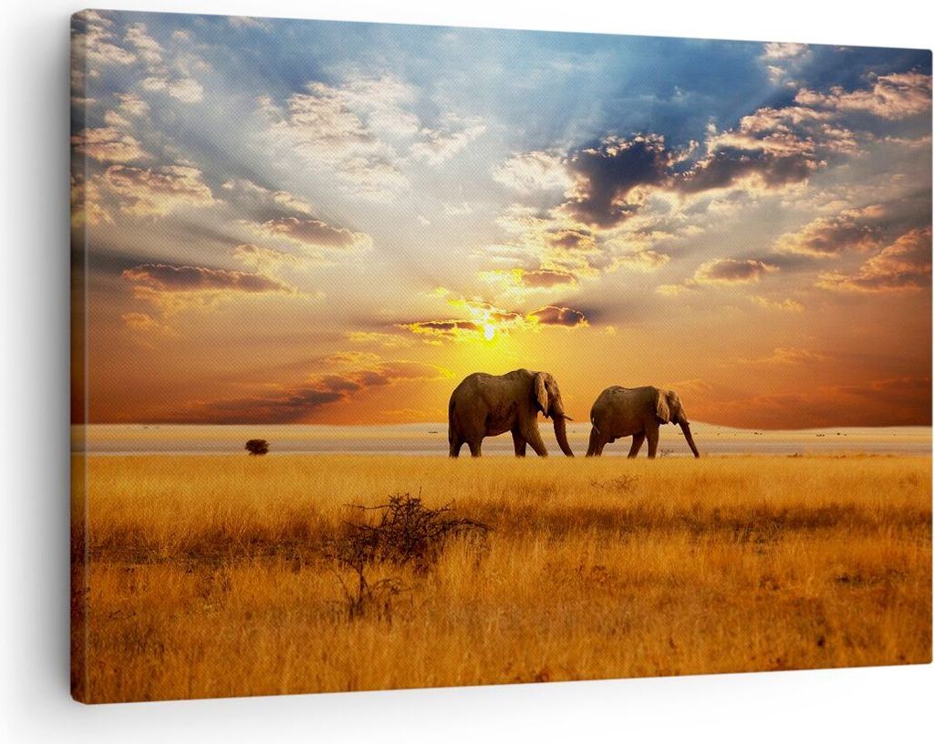 Bild auf Leinwand - Leinwandbild - Elefanten Safari Dschungel Busch - 70x50cm - Wand Bild - Wanddeko - Leinwanddruck - Bilder - Kunstdruck - Wandde...