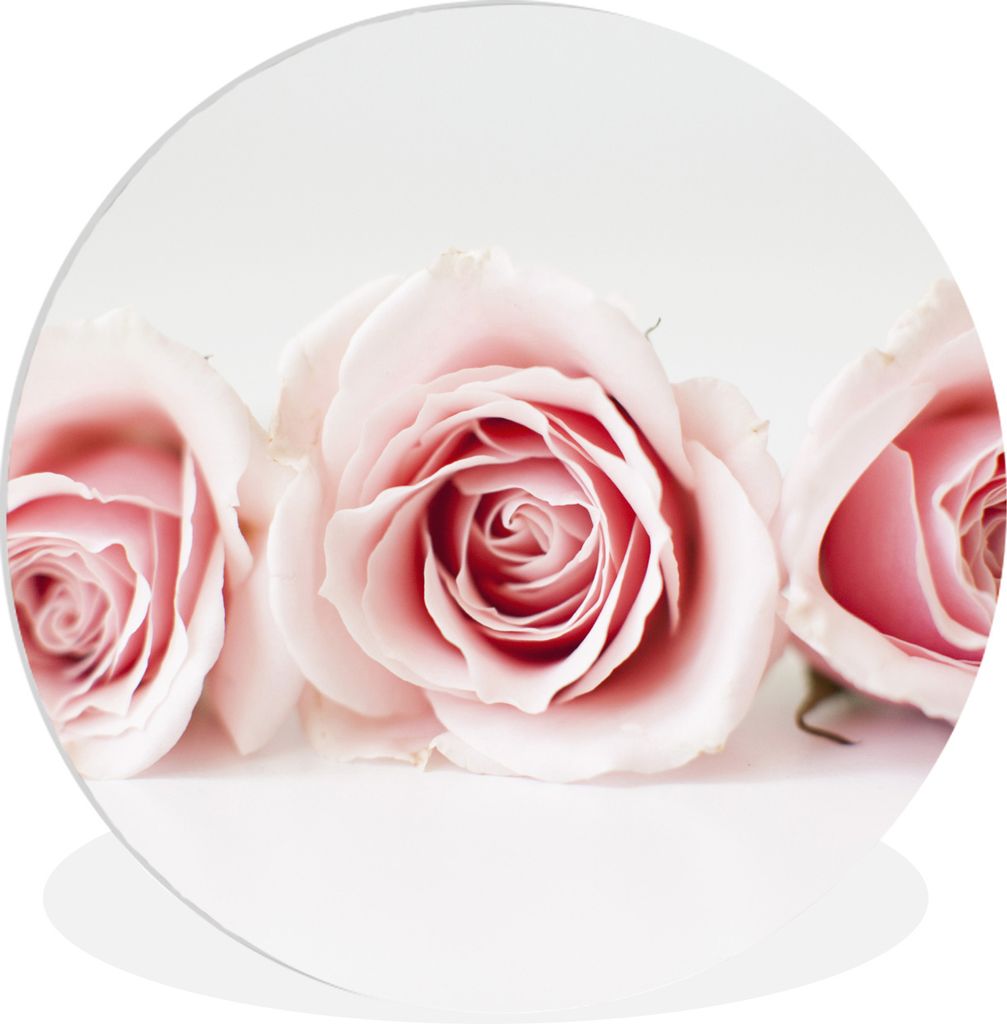 MuchoWow Rundes Wandbild - Runde Bilder Studioaufnahme von drei rosa Rosen nebeneinander Ø 60 cm Kreis Wanddekoration Kunststoff - Wandkreis - W...