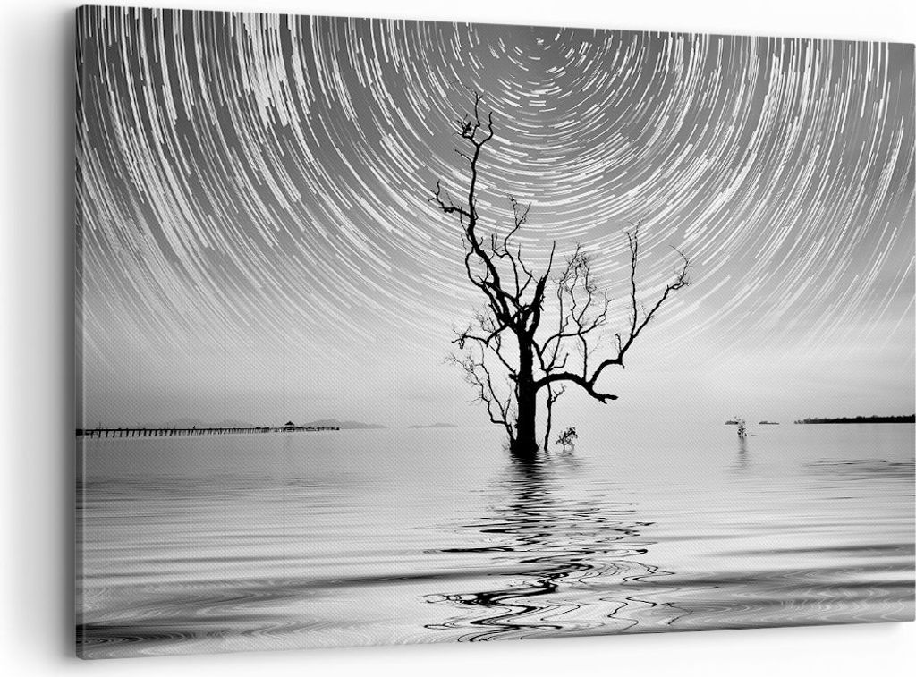 Bild auf Leinwand - Leinwandbild - Einteilig - Schwarzweiß Baum See - 100x70cm - Wand Bild - Wanddeko - Wandbilder - Leinwanddruck - Bilder - Wand...