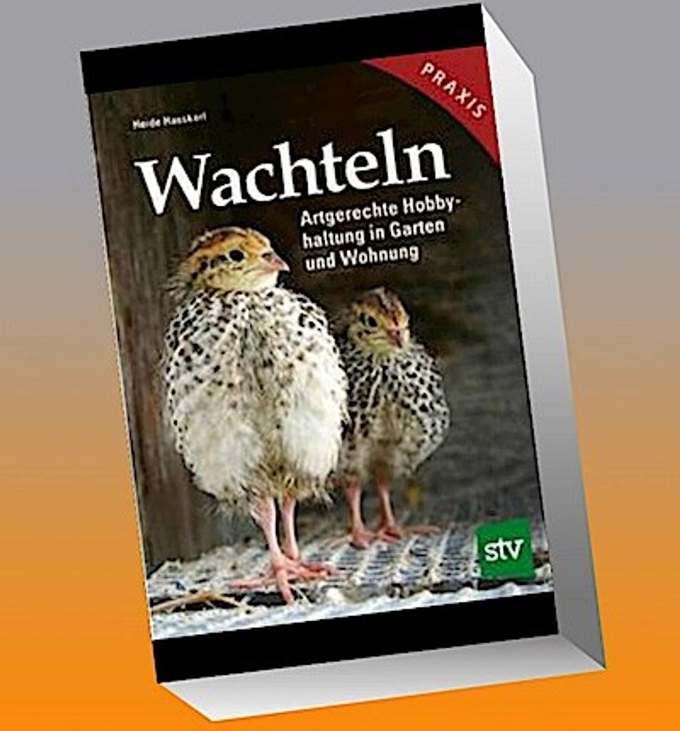 Wachteln