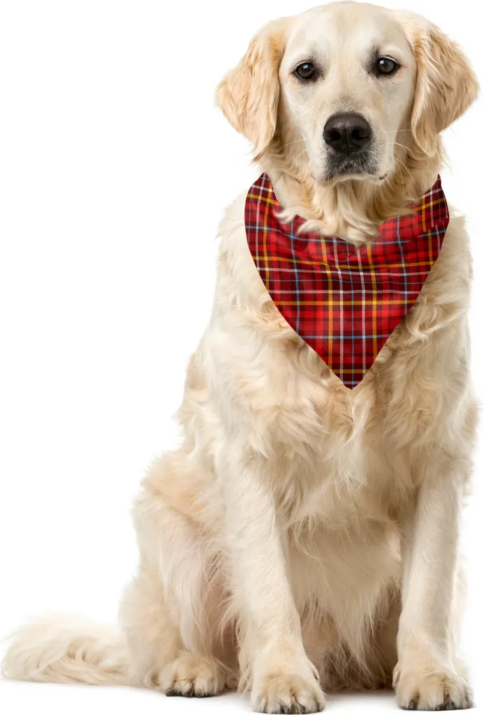 Bandana per Cani ABAKUHAUS Plaid Bordeaux e Blu Cielo 55x55 cm Vintage