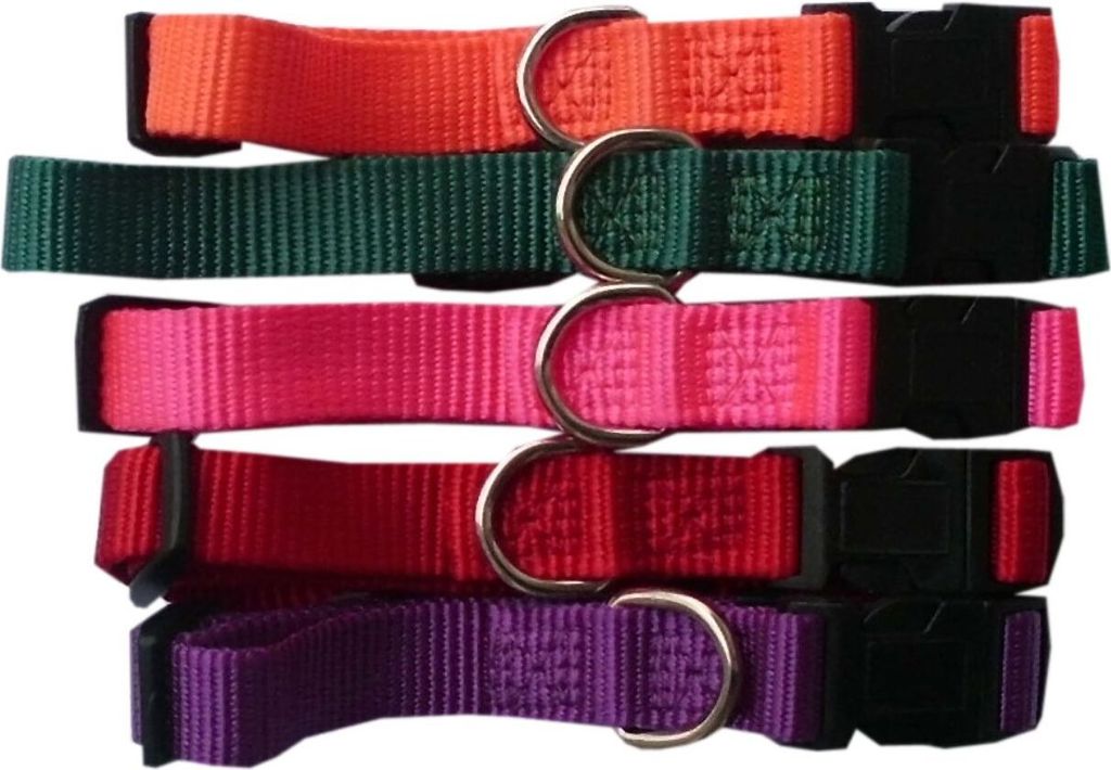Hundehalsband Prism Snap & Go aus Nylon GR. L Halsband für Hunde Halsband Hund in Blau