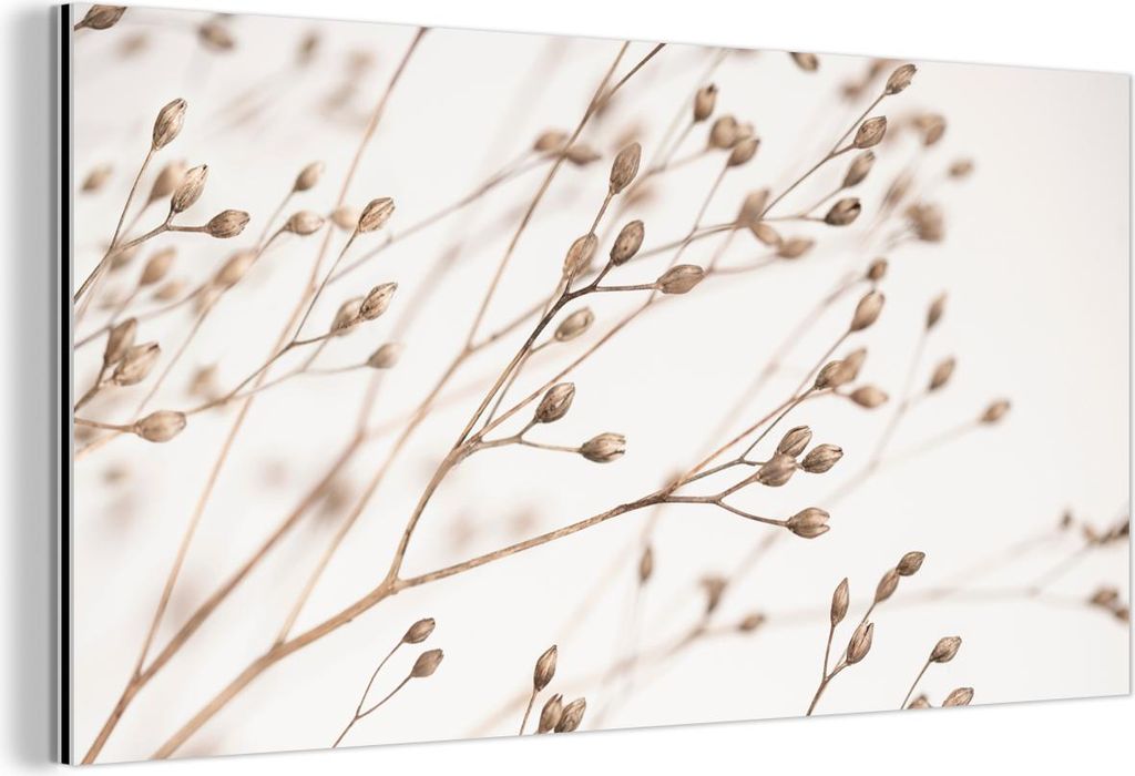 MuchoWow Wanddekoration Metall Metallbild Wandkunst 80x40 cm Natur - Pflanzen - Zweig - Weiß - Braun - Trockenblumen MuchoWow Aluminium Gemälde -...