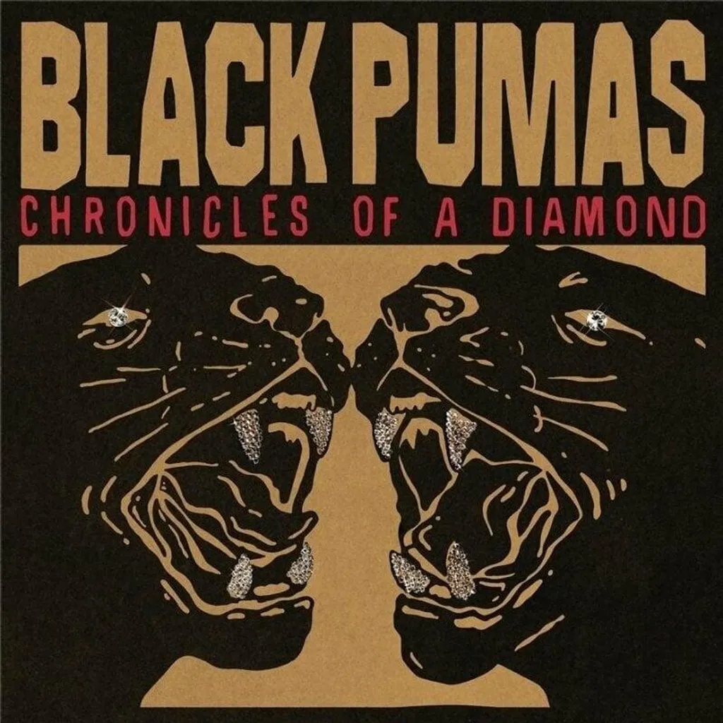Musique Soul Vinyle Black Pumas Chronicles Of A Diamond - Disque LP