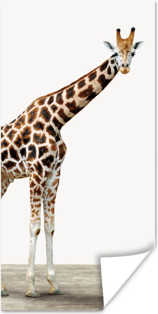 MuchoWow Poster Giraffe - Tiere - Weißer Hintergrund - Kinder - Junge - Mädchen 75x150 cm - Dekoration für die Wände