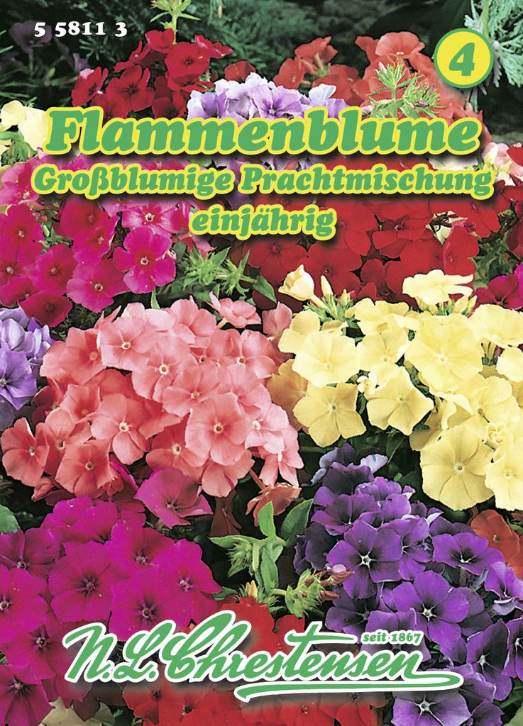 Flammenblume Großblumige PrachtMischung | Petuniensamen von N.L. Chrestensen