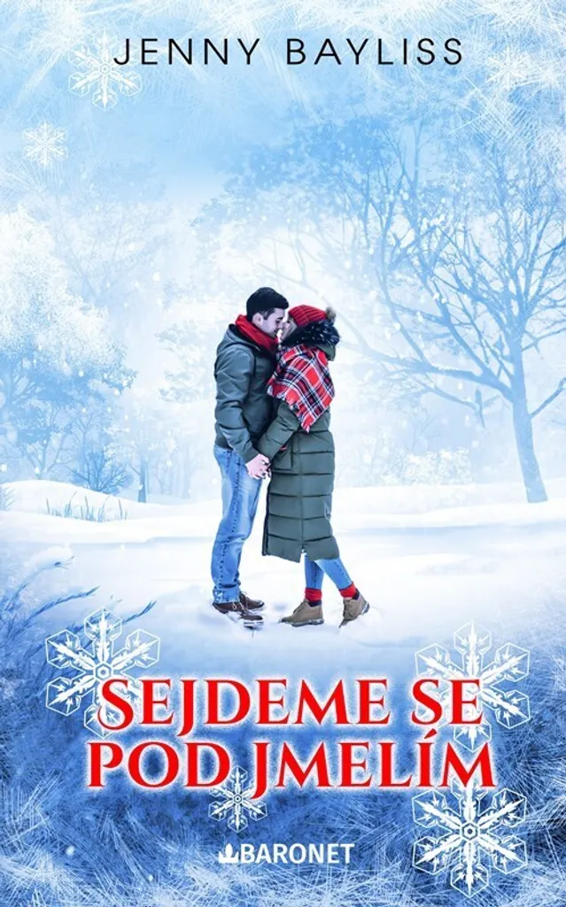 Sejdeme se pod jmelím de Jenny Bayliss : roman de Noël incontournable