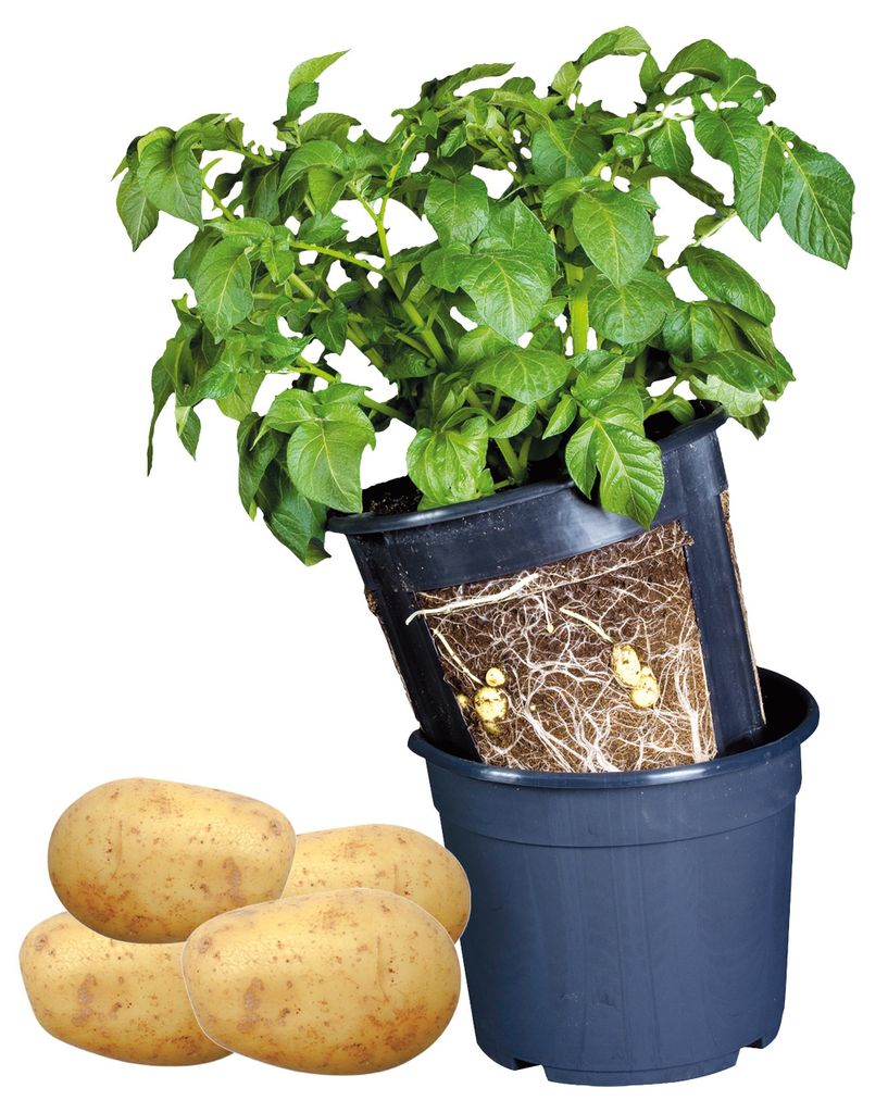 Kartoffel Pflanztopf für Balkon & Garten – robust & wetterfest schwarz Ø 30x27cm