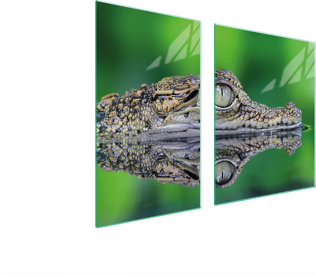 Piastre Coprifornello Vetro 100x52 Aligator Verde - Protezione Piano Cottura