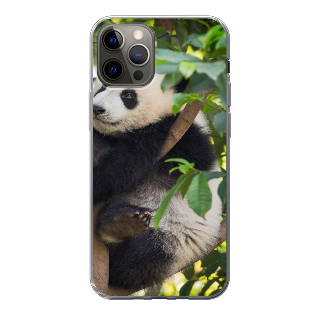 MuchoWow Handyhülle Schutzhülle Hülle für iPhone 12 Pro Panda - Tier - Baum Silikon Softcase Handy Hülle - Abdeckung
