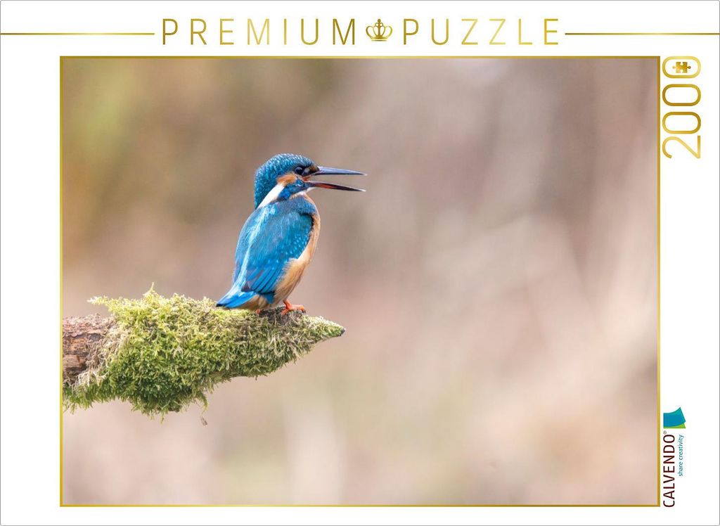 CALVENDO Puzzle Eisvogel ruft | 2000 Teile Lege-Größe 90x67cm Foto-Puzzle für glückliche Stunden