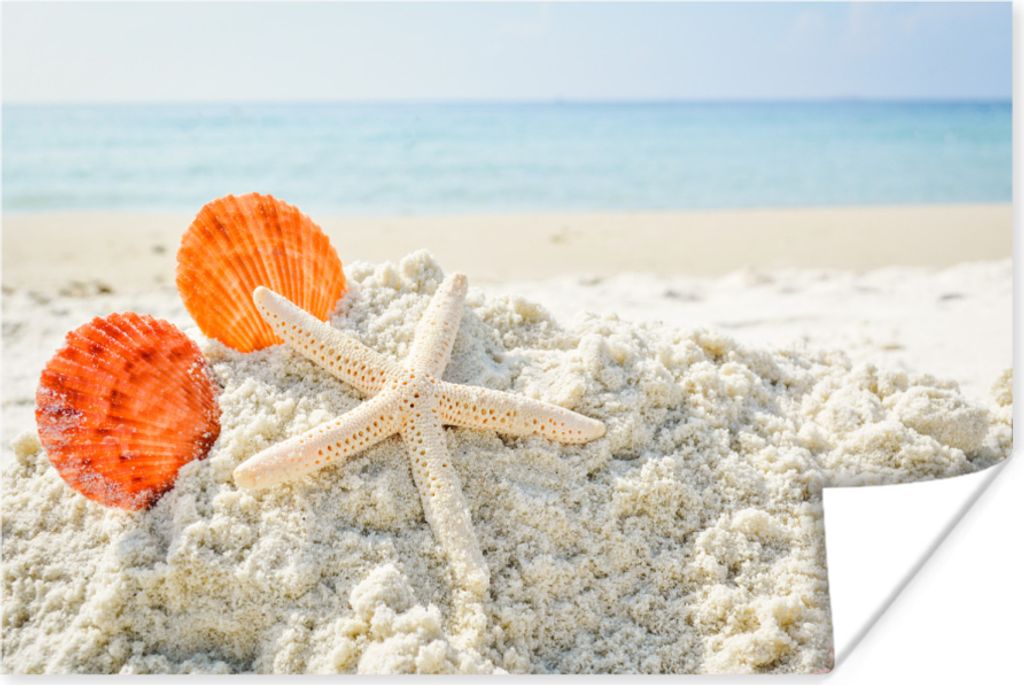 MuchoWow Poster Muscheln - Seesterne - Sand 30x20 cm - Plakate - Print