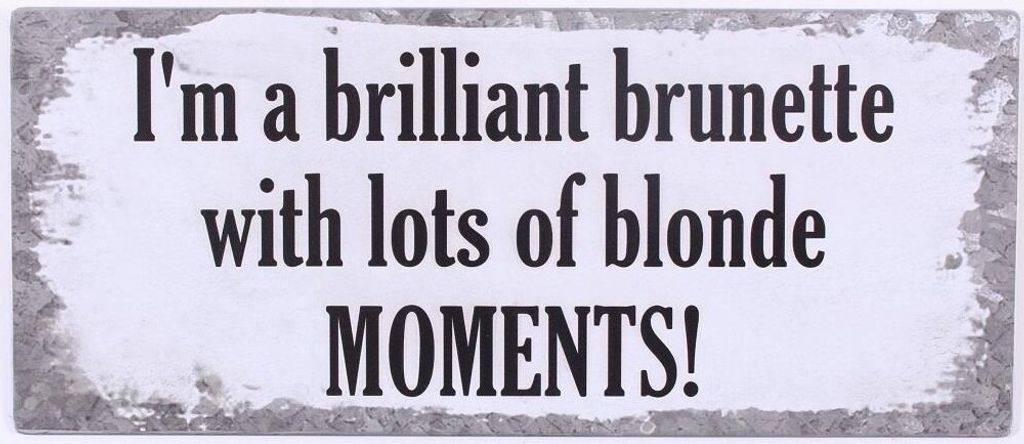 Vintage Blechschild - Lots of blonde Moments - Wandschild
