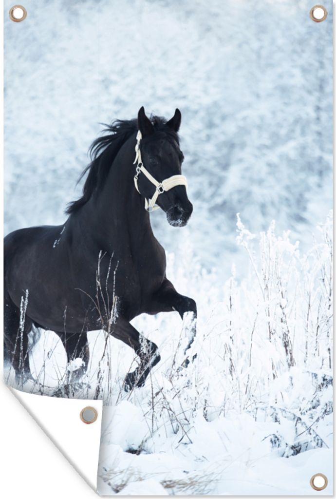 MuchoWow 40x60 cm Outdoor-Poster Gartendeko Sichtschutz Garten Poster für den Garten Pferd - Schnee - Winter