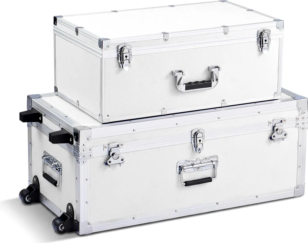 Malle de Rangement à Roulettes Blanche et Robuste pour Maison - Lot de 2