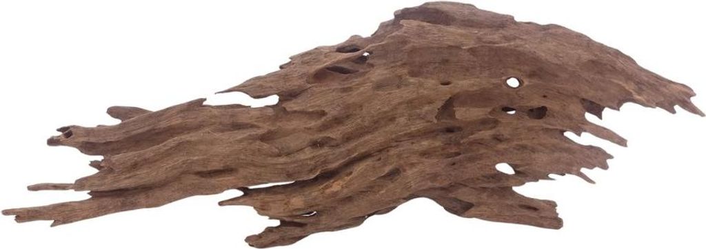 XL Honey Comb Wurzel Nr.3044 Holz Deko Aquascaping