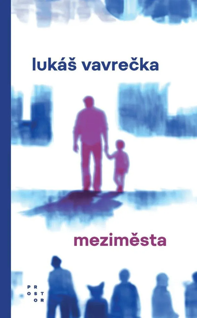 Meziměsta Jeu de Société de Stratégie Urbaine et Ferroviaire Original