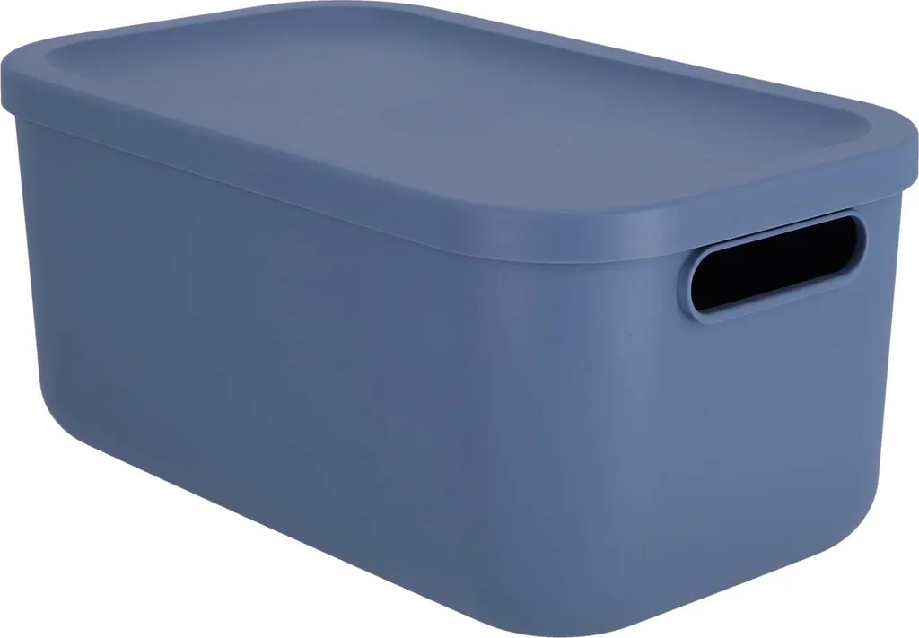 Rotho Albula Light Horizon Boîte de Rangement Bleue 25L 40x24x18 cm