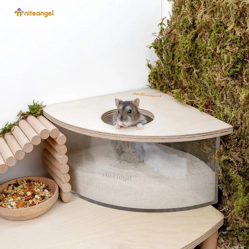 Baignoire à sable pour hamster et souris en acrylique transparent L