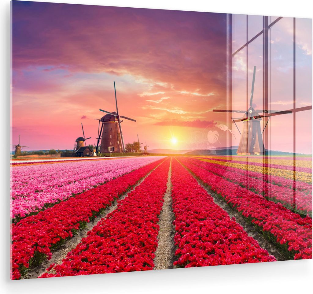 MuchoWow Glasbilder - Bilder auf Wandbild - Foto auf Glas Blumen - Tulpen - Blumenfeld - Mühlen - Holland 80x60 cm Wanddekoration aus Glas - Acryl...