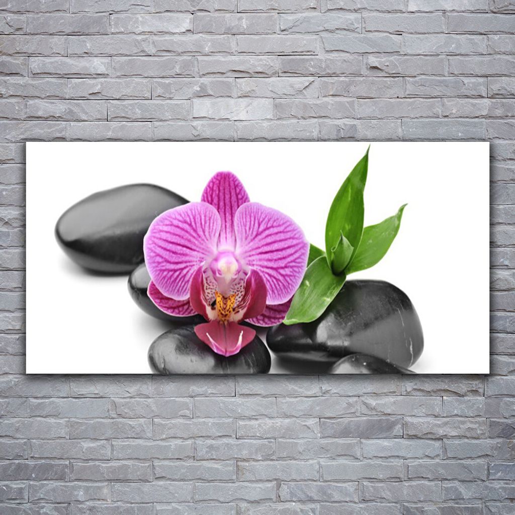 Glasbilder 120x60 Wandbild Druck auf Glas Blume Steine Kunst
