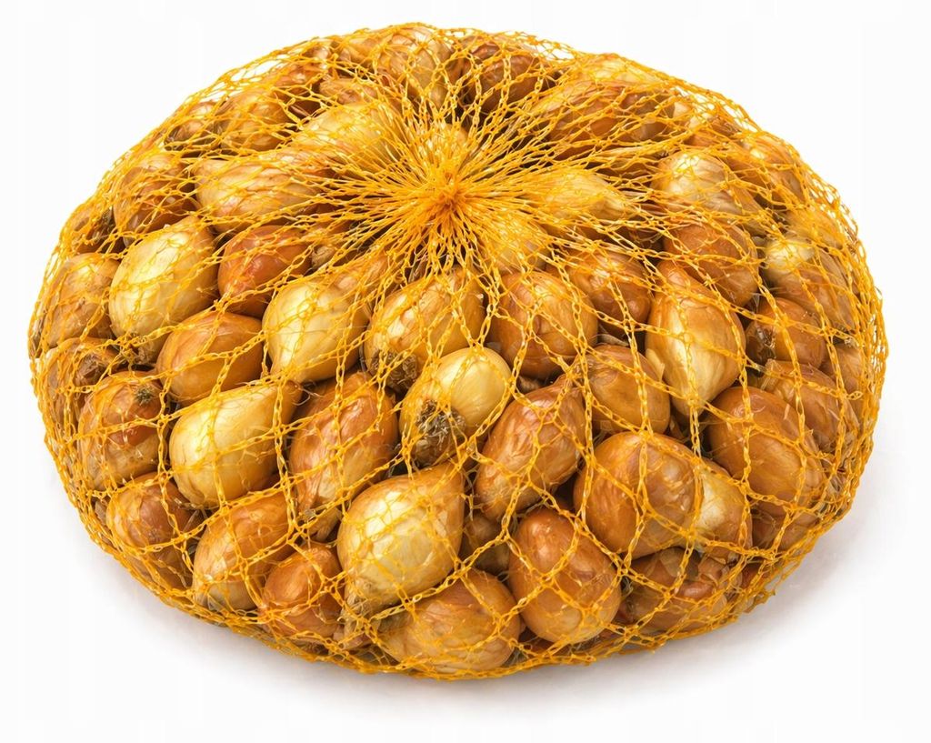Cipollotti da semina, 16–21 mm, 0,5 kg di bulbi da piantare Immagine del prodotto 