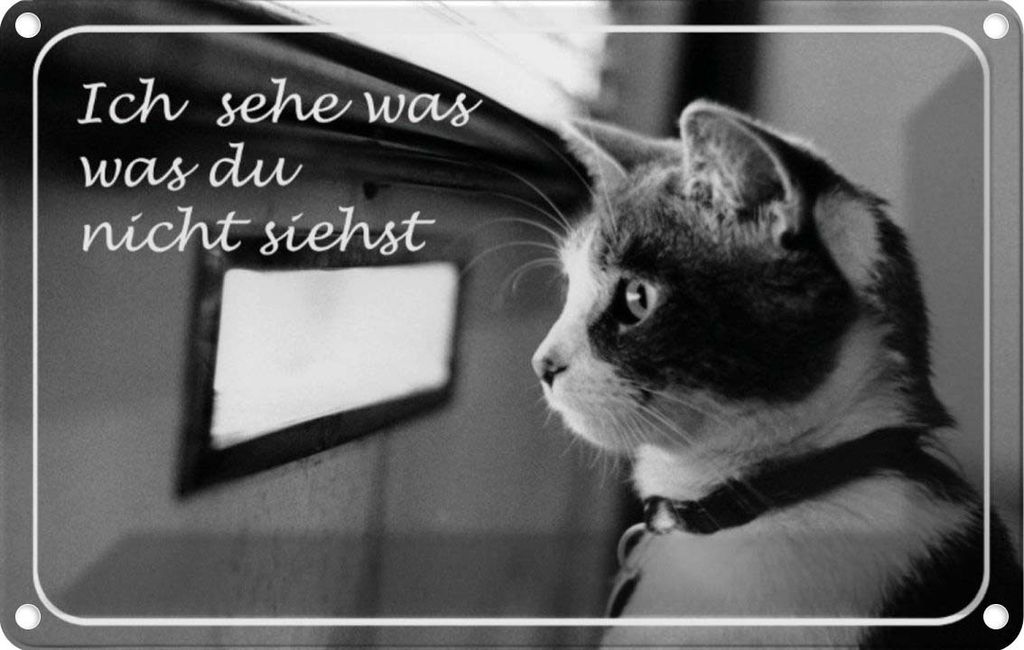 vianmo Blechschild 20x30 cm Katze ich sehe was du nicht siehst Tier Haustier